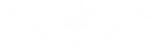 divisor2.png